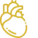 Icono dorado de un corazón y los vasos sanguíneos principales, órgano del sistema cardiovascular.