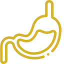 Icono dorado de un estómago con contenido digestivo.