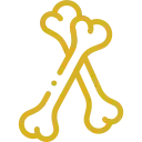 Icono dorado de dos huesos largos