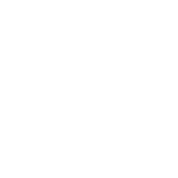 Imagen de un icono blanco de un ojo.