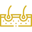 Icono dorado de un corte de la piel, pelo y glándulas sudoríparas.