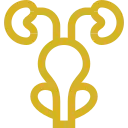 Icono dorado de la próstata y sistema urinario del hombre
