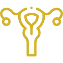 Icono dorado de un útero y ovarios, aparato reproductor femenino