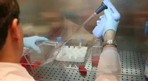 <p>Vacunas terapia celular</p>