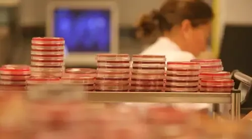 <p>Imagen laboratorio de microbiolog&iacute;a&nbsp;</p>