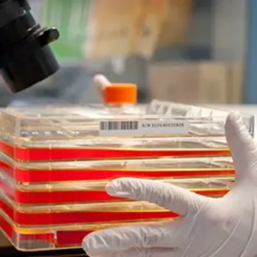 Imagen de investigador terapia celular en la Clínica Universidad de Navarra