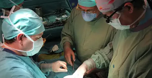 Imagen de Anatomía intraoperatoria. Clínica Universidad de Navarra
