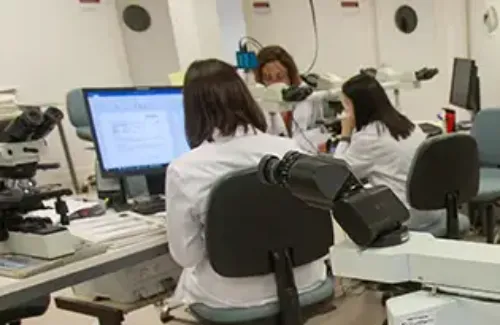 Imagen de Asesoramiento al paciente. Anatomía patológica. Clínica Universidad de Navarra