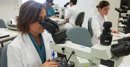 Imagen de Microscopía electrónica. Clínica Universidad de Navarra
