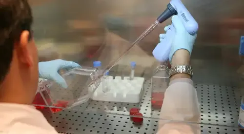 <p>Vacunas terapia celular</p>