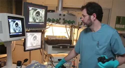 <p>Realización endoscopia digestiva</p>
