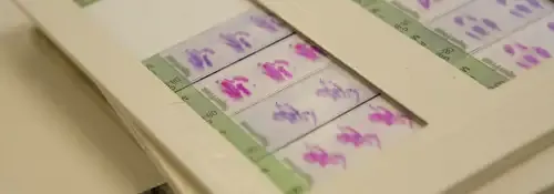 <p>Imagen Ensayos Cl&iacute;nicos en Farmacia&nbsp;</p>