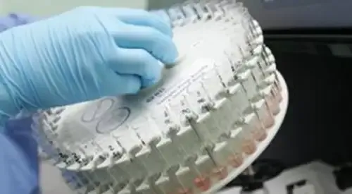 <p>Laboratorio de inmunolog&iacute;a&nbsp;</p>