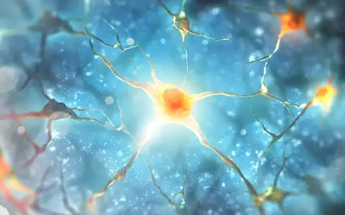 Imagen 3D de neuronas. Clínica Universidad de Navarra