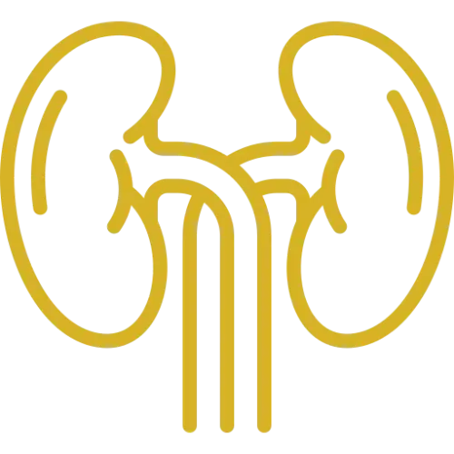 Icono dorado de unos riñones