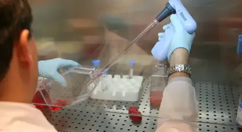 <p>Laboratorio Terapia Celular&nbsp;</p>