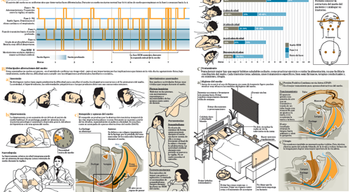 <p>Imagen preview del infogr&aacute;fico sobre los trastornos del sue&ntilde;o&nbsp;</p>
