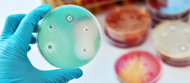 img-destacado-resistencia-antibioticos